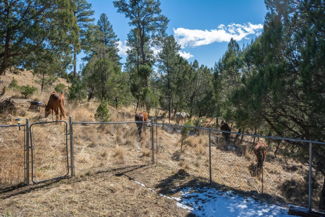 Villa Howl At The Moon Ruidoso Exterior foto